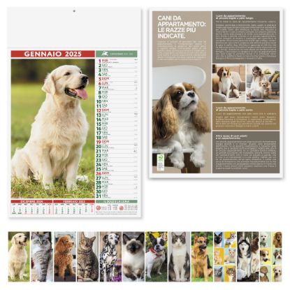 Immagine di Calendario Cani & Gatti PA108